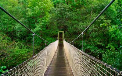 Puente colgante de las Fragas do Eume