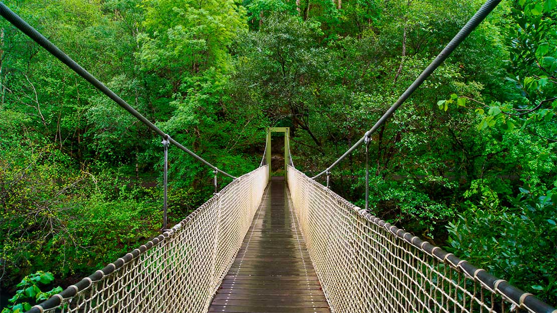 Puente colgante de las Fragas do Eume Puente colgante de las Fragas do Eume cruzando el río en el bosque atlántico
